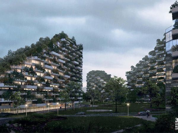 Foto: Seperti Apa Kota Hutan China?
