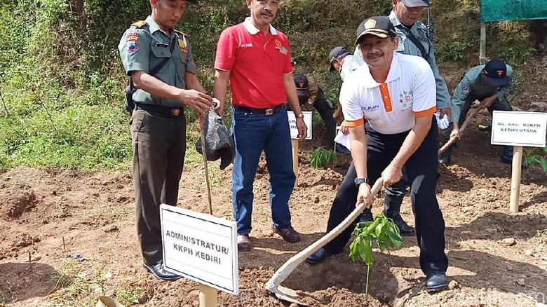 3.900 Bibit Pohon Ditanam di Lereng Gunung Wilis untuk Selamatkan Air