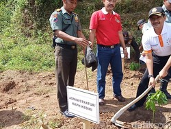 3.900 Bibit Pohon Ditanam di Lereng Gunung Wilis untuk Selamatkan Air
