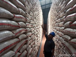 Gudang Bulog Penuh hingga Beras Terancam Busuk, Pemerintah Putar Otak