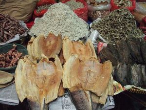 Ikan Asin Bisa Menyebabkan Kanker? Ini Penjelasan Dokter Ikan Asin Bisa Menyebabkan Kanker? Ini Penjelasan Dokter
