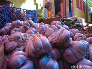 Pasokan Langka, Harga Bawang Putih di Trenggalek Tembus Rp 60 Ribu Pasokan Langka, Harga Bawang Putih di Trenggalek Tembus Rp 60 Ribu