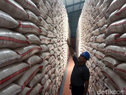 Stok Beras RI Ditargetkan 1,7 Juta Ton Hingga Akhir Tahun