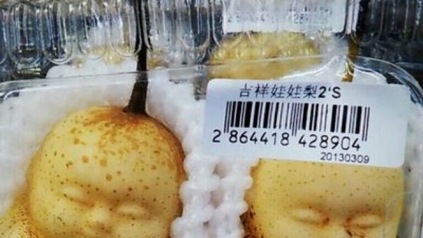 Mirip Monster! Buah-buahan Ini Punya Bentuk yang Aneh dan Menyeramkan