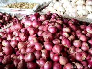 Jelang Ramadhan, Harga Bawang di Bone Melonjak