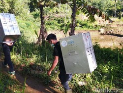 Tempuh Hutan Menanjak, IAR Lepas 15 Kukang Jawa di Gunung Sawal