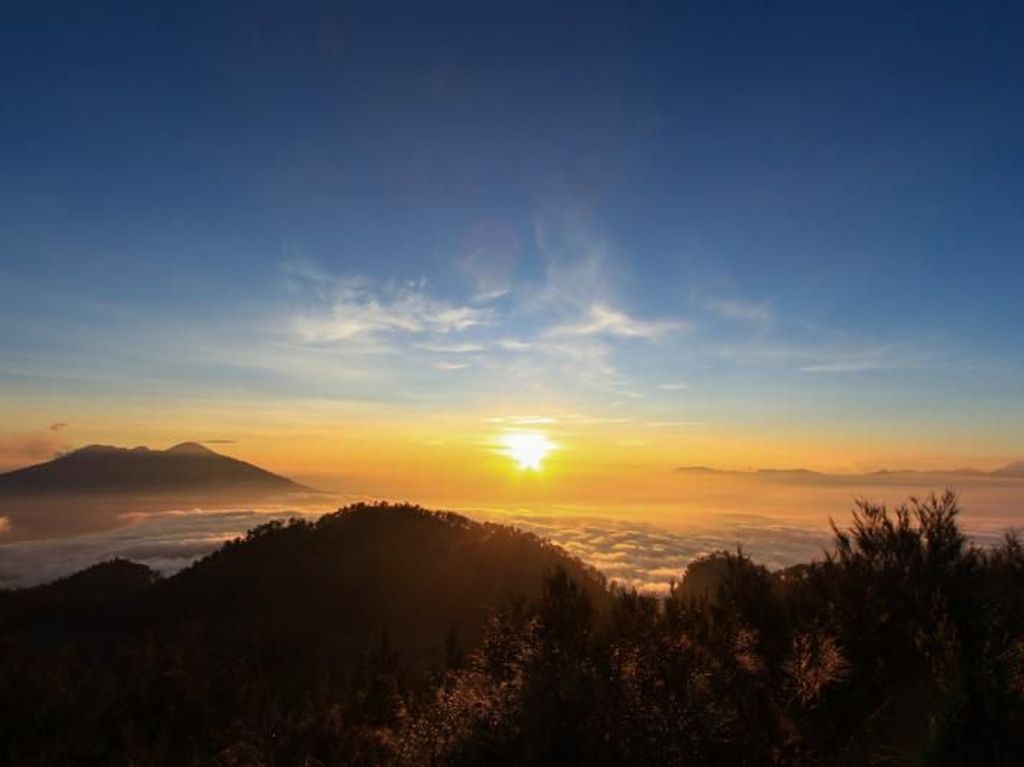 Berpetualang Menuju Puncak Gunung Butak Berpetualang Menuju Puncak Gunung Butak