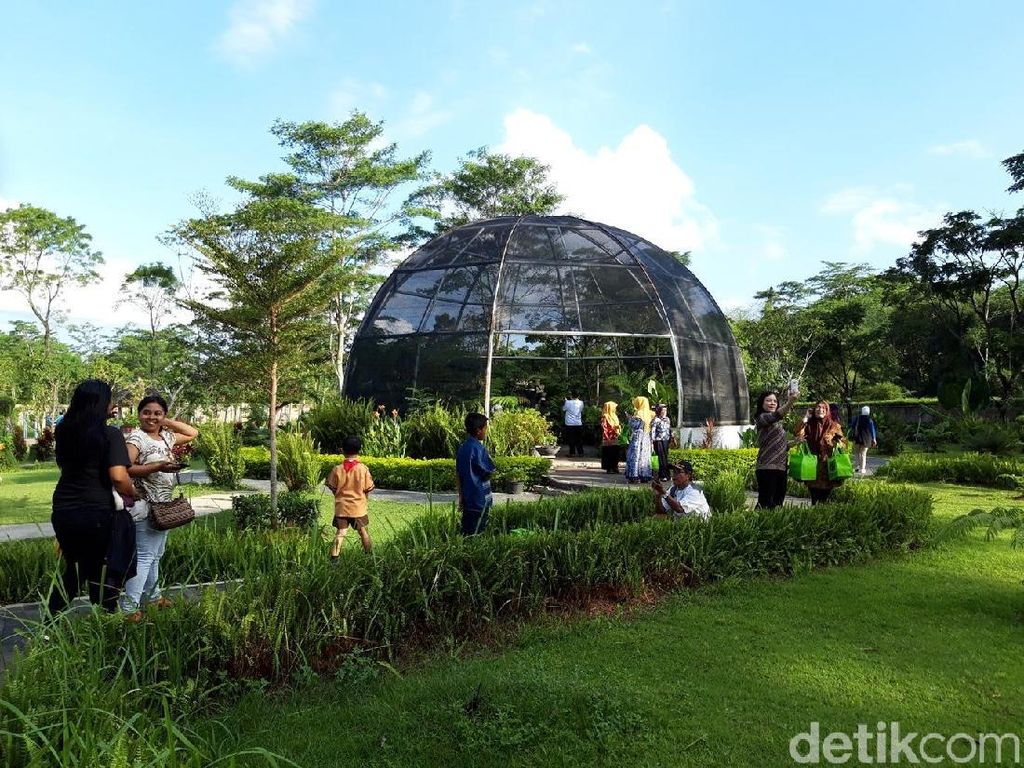 Tumbuhan Langka dan Air Terjun Niagara di Kebun Raya Indrokilo Boyolali Tumbuhan Langka dan Air Terjun Niagara di Kebun Raya Indrokilo Boyolali