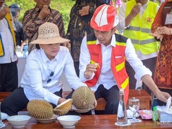 Seru Banget!Jokowi Panen Durian yang Ditanam di Karanganyar, Jateng
