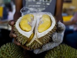 Rekor Durian Termahal di Dunia, Satu Buah Harganya Rp 681 Juta