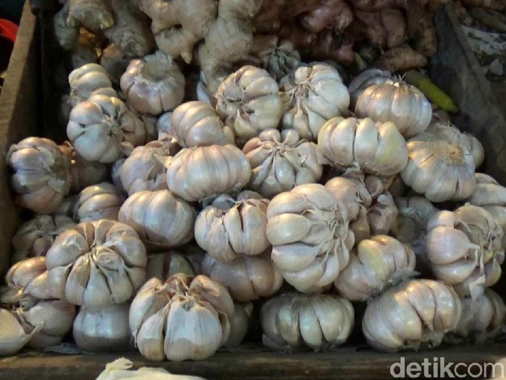 Ini Alasan Kementan Dilaporkan ke KPPU Terkait Bawang Putih Ini Alasan Kementan Dilaporkan ke KPPU Terkait Bawang Putih