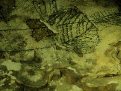 Zaman Paleolitikum, Manusia Hidup Nomaden dan Menggunakan Batu