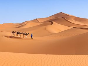 Sahara Letaknya di Mana? Begini Kondisinya sebagai Gurun Panas Terbesar di Bumi Sahara Letaknya di Mana? Begini Kondisinya sebagai Gurun Panas Terbesar di Bumi