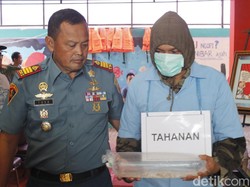 BKIPM: Nelayan Buru Benih Lobster karena Iming-iming Vietnam