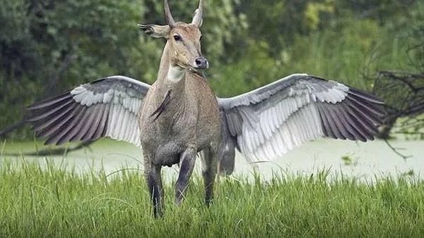 Deretan Foto Unik yang Dijepret di Waktu dan Angle Tepat