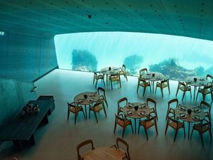 Cantiknya Under, Restoran Bawah Laut Terbesar Dunia