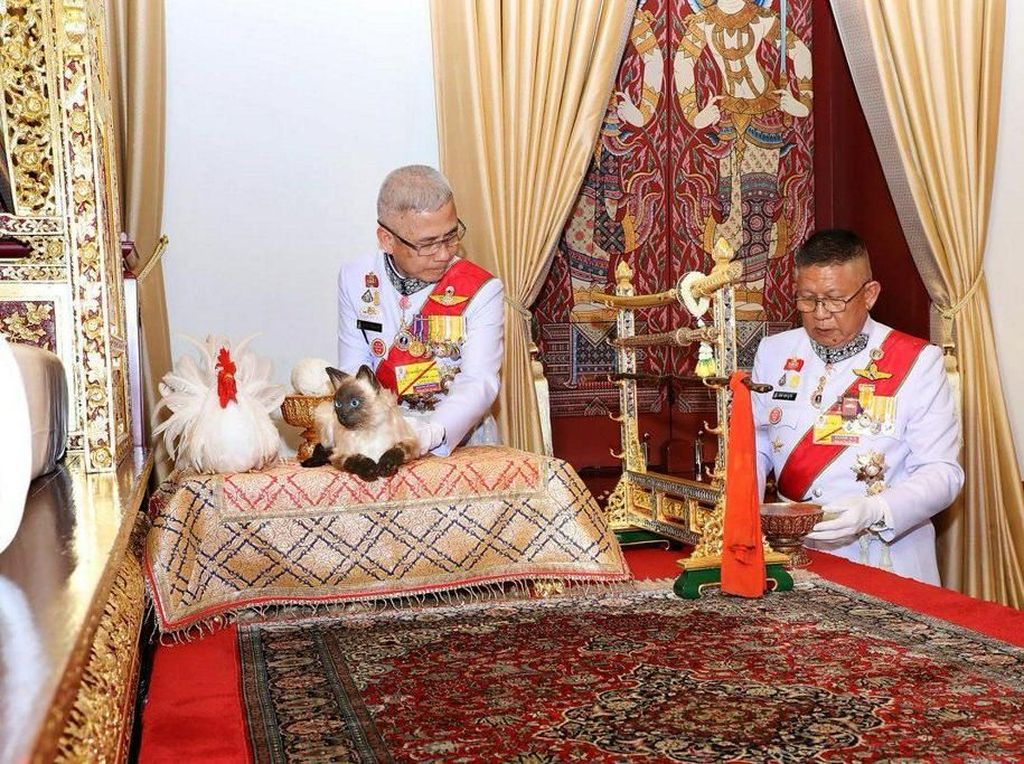 Istana Jawab Rumor Raja Thailand Pakai Boneka Kucing Saat Penobatan Istana Jawab Rumor Raja Thailand Pakai Boneka Kucing Saat Penobatan
