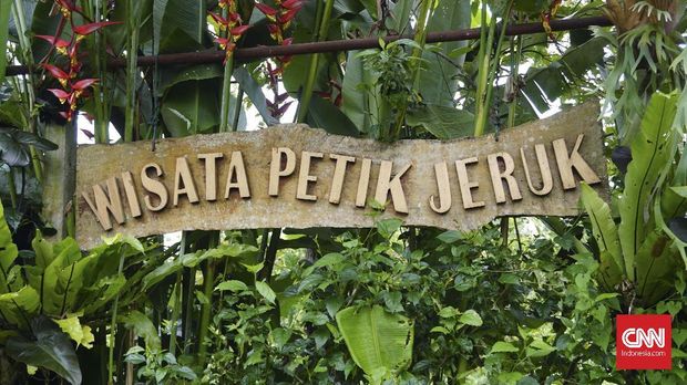 Sensasi Segar Makan Enak di Tepi Kebun Buah di Ubud