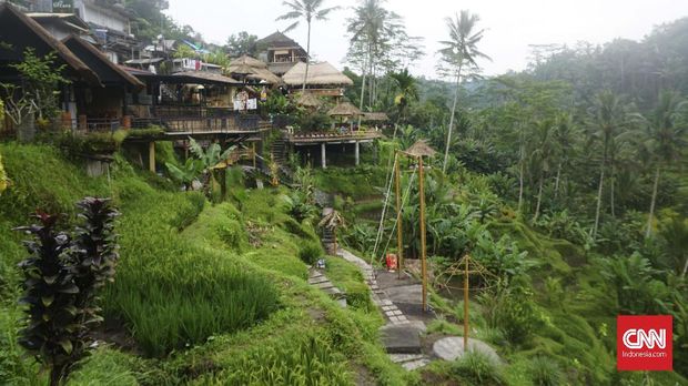 Tegalalang