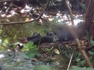 Warga Blitar Temukan Mayat Membusuk di Bukit Wewe, Ini Dugaan Polisi