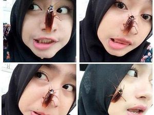 Tantangan Foto Selfie Bareng Kecoak Jadi Viral, Jijik Nggak Sih?