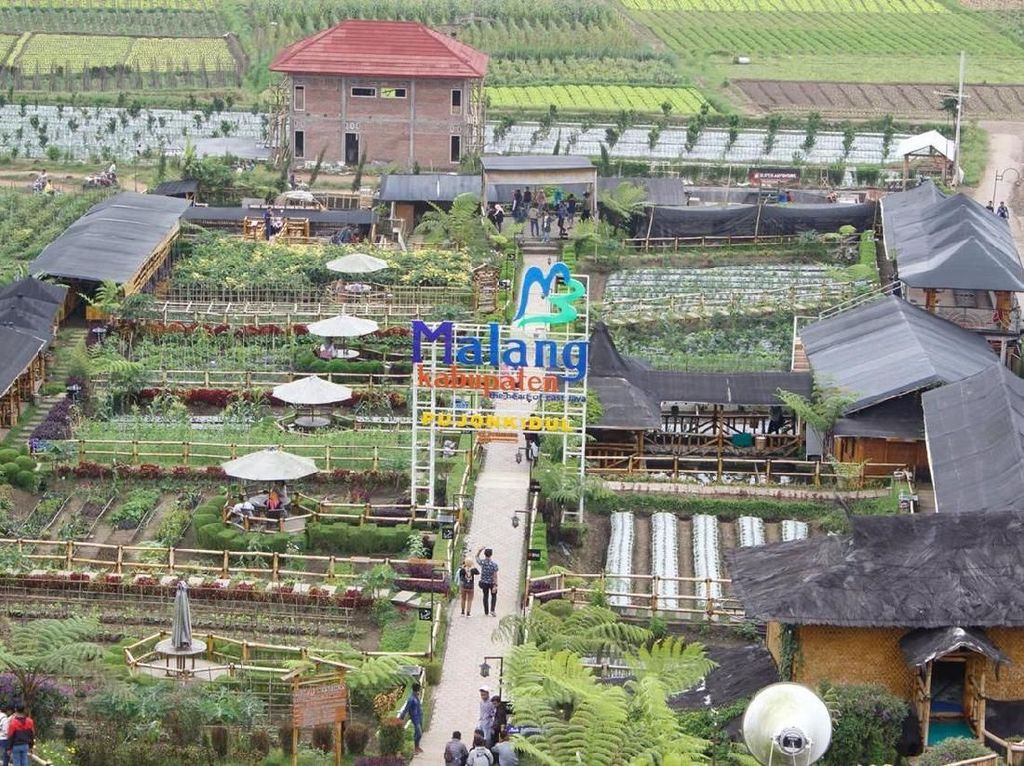 Kelola Dana Desa, Desa di Malang Ini Bisa Raup Rp 1,3 Miliar Setahun Kelola Dana Desa, Desa di Malang Ini Bisa Raup Rp 1,3 Miliar Setahun