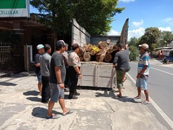 Tebang Pohon Milik Perhutani, 2 Warga Wonogiri Terancam 5 Tahun Bui