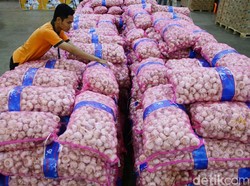 KPPU Sebut Ada yang Ganjil Pada Impor Bawang Putih