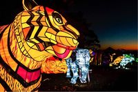 Liburan Sekolah, Ajak Si Kecil Lihat Festival Cahaya di Vivid Sydney