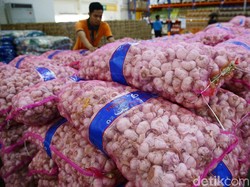 Konsumen Rugi Rp 2,6 T Gara-gara Harga Bawang Putih Melonjak