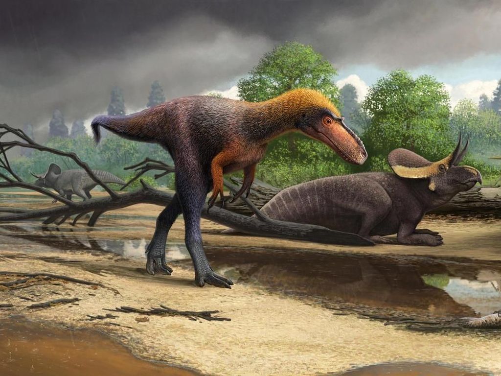 Nenek Moyang T-Rex Ternyata Berukuran Mungil Nenek Moyang T-Rex Ternyata Berukuran Mungil