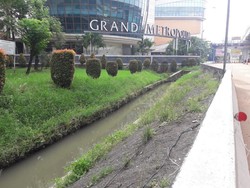 Viral Kemunculan Biawak di Saluran Air di Belakang Mal di Bekasi