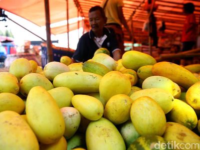 Pedagang Timun Suri Mulai Menjamur