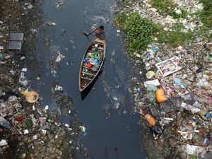 Mengerikan! Sejuta Spesies Terancam Punah Karena Manusia