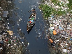 Mengerikan! Sejuta Spesies Terancam Punah Karena Manusia