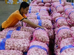 Tekan Harga, RI Impor Lagi Bawang Putih 125.000 Ton