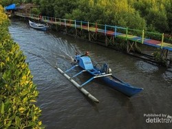 Cantik Sekali Lantebung, Hutan Bakau di Makassar