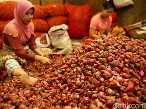 Bahan Pangan Deflasi, Harga Bawang Merah Turun