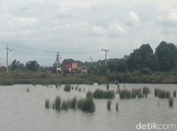 Warga Konawe Mengeluh Tambak Dicemari Lalu Lalang Truk Pabrik