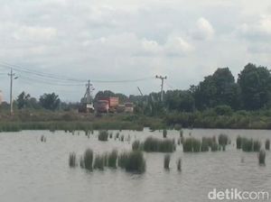 Warga Konawe Mengeluh Tambak Dicemari Lalu Lalang Truk Pabrik Warga Konawe Mengeluh Tambak Dicemari Lalu Lalang Truk Pabrik