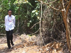 Jokowi Blusukan Cari Calon Ibu Kota Baru di Kalimantan, Ini Hasilnya