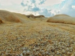 Potret Gurun Pasir Ala Timur Tengah di Pulau Bintan