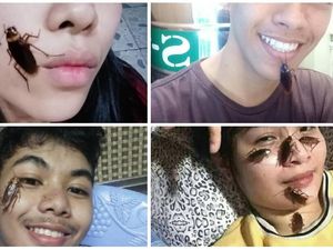 Viral Challenge Taruh Kecoa di Wajah, Banyak Netizen Komentar Jijik Viral Challenge Taruh Kecoa di Wajah, Banyak Netizen Komentar Jijik
