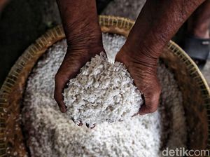 Kok Beras Swasta Lebih Laku dari Punya Bulog? Ini Penjelasan Mensos Kok Beras Swasta Lebih Laku dari Punya Bulog? Ini Penjelasan Mensos