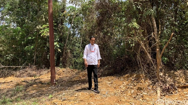 Tinjau Kelaikan Kalteng Makara Ibu Kota RI, Jokowi: Nemu Feeling Tinjau Kelaikan Kalteng Makara Ibu Kota RI, Jokowi: Nemu Feeling