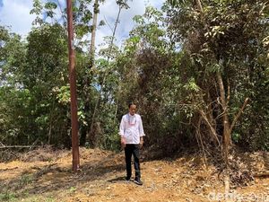 Jokowi Tinjau Kelaikan Kalteng Jadi Ibu Kota Baru: Nemu Feeling-nya Jokowi Tinjau Kelaikan Kalteng Jadi Ibu Kota Baru: Nemu Feeling-nya