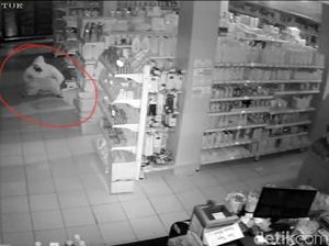 8 Bulan Berlalu, Perampok BAB di 212 Mart Sukabumi Belum Tertangkap 8 Bulan Berlalu, Perampok BAB di 212 Mart Sukabumi Belum Tertangkap