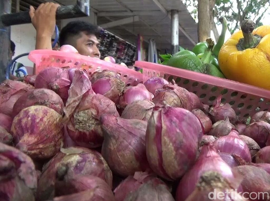 Harga Bawang di Banyuwangi Mulai Turun, Cabai dan Tomat Merangkak Naik Harga Bawang di Banyuwangi Mulai Turun, Cabai dan Tomat Merangkak Naik