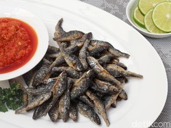 KKP Bakal Atur Pengelolaan Ikan Bilih yang Terancam Punah