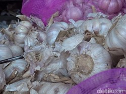 RI Mau Pintu Impor Bawang Putih Mesir, Bagaimana Kualitasnya?